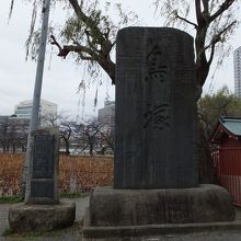 ふつうの形状です。