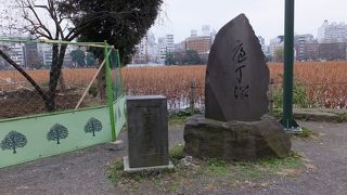 包丁に見えなくもない。