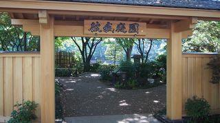 6月はゆりとアヤメが楽しめそうです。