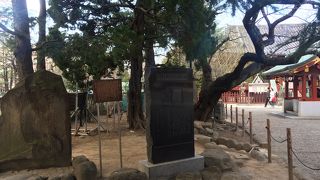 周辺に花はない