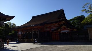 華やかな雰囲気がある。