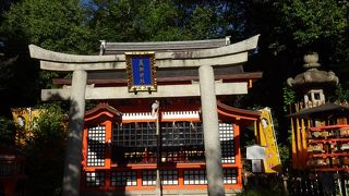 美を追究する神さま