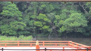 せんぐう館に面しています