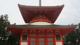 僧侶の方に案内してもらいました