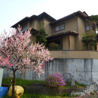 この２階の部屋に宿泊。花桃がよく見えた。