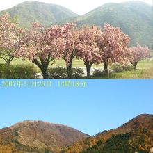 西の原から眺める三瓶山。5月と11月の比較