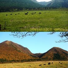 西の原の牧草地から眺める三瓶山。5月と11月の比較