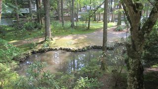 苔が美しかったです