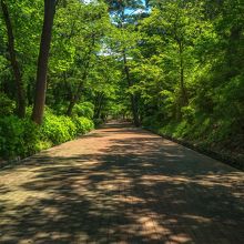 木々が　多いので　涼しいです