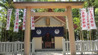 芸事の神様です