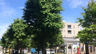 沿道に水場がある