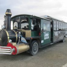 シティツアーのトレインバスが停まってました