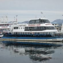 クルーズ船が停泊しています