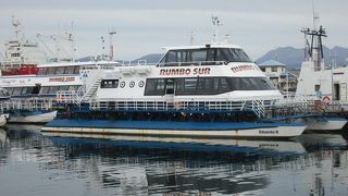 ビーグル水道クルーズの発着場