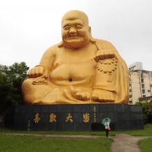 比べてみました