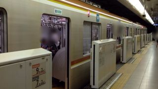 茶色と黄色のアクセントこそ