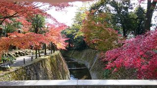 紅葉が綺麗でした