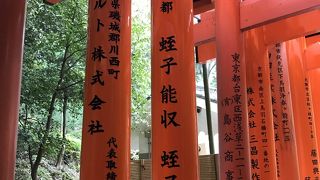 階段長いので、途中で引き返しました。