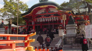 キツネに囲まれて