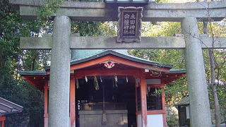 しっかりした鳥居です