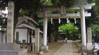 たくさんの緑に癒される