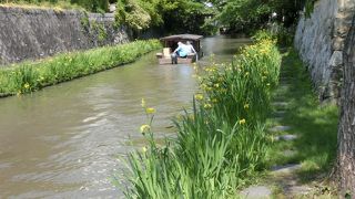 35分のミニクルーズ