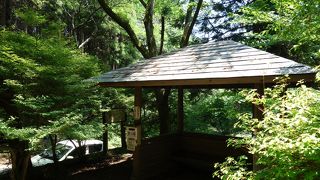 特に見どころではありません