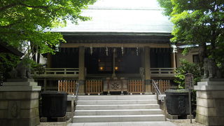 見どころたっぷり☆