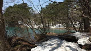 時期に注意が必要