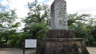 その力強い筆の・・・