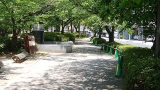 お散歩するのに丁度良い