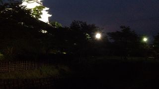 闇夜に蠢く観光客！