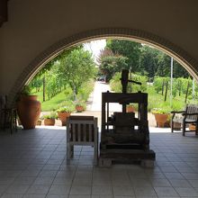 エントランスのおしゃれな風景