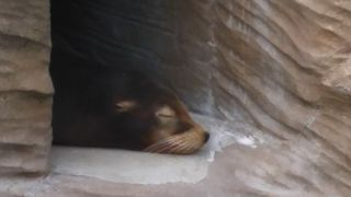 動物見て童心に帰ろう