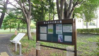 緑豊かな広い公園