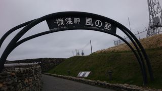 アザラシが室内から良く見えます、強風体験はすごい！