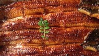 表参道のうなぎやさん