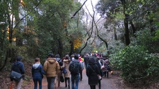 ぬかるみに注意