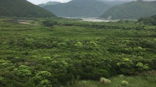 水面レベルで見た方がいい