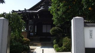 立派な本堂で向拝の彫刻が素晴らしい日蓮宗の寺院です