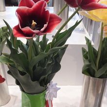 チューリップ四季彩館