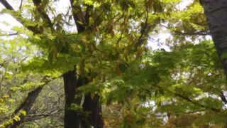 手賀沼のすぐそばにある公園