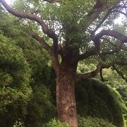 多摩川駅すぐ