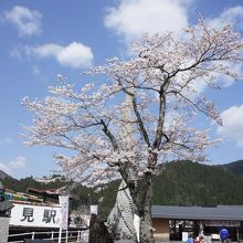 樽見駅