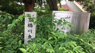 植物に囲まれて。