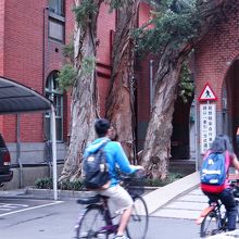 自転車に乗って構内を移動する学生たち