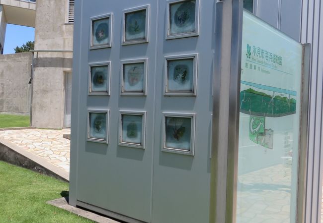 氷見市海浜植物園 クチコミ アクセス 営業時間 氷見 フォートラベル