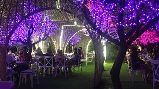 ラ ヴィ パリジェンヌ