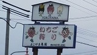 よこやま農園