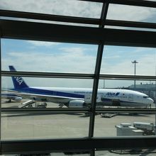 飛行機が見えます